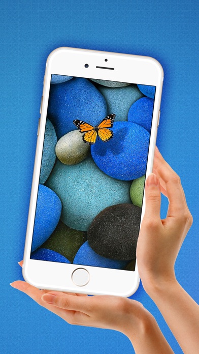 バタフライ 壁紙 Hd 活気のあります ロック 画面 綺麗な 抽象 背景 Iphoneアプリ Applion