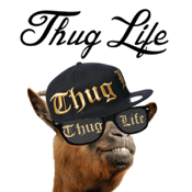 Thug Life Maker app review - appPicker