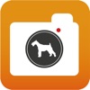 愛犬漫步 DOGGY SPOTS