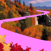 no app image