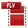 FLV Video Converter