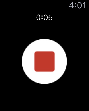 iPhone Screenshot 2