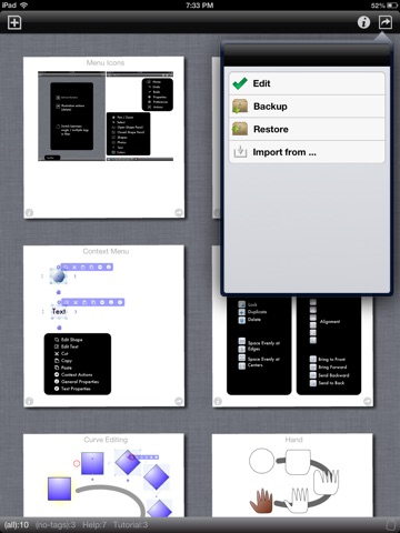 iPad Screenshot 5