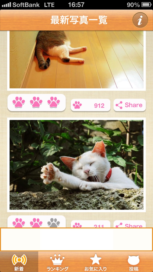 ねこまみれ  -かわいい猫写真が見放題！「ねこのきもち」公式アプリ-のおすすめ画像2