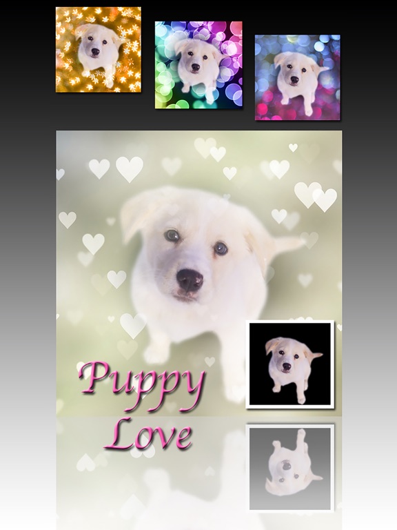 PhotoJus Bokeh FX screenshot 8
