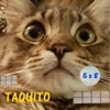 Taquito game - Math balls kids free mental calculation game Games