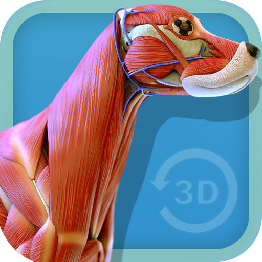 Visual Anatomy - Canine Mac OS X