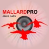 Duck Hunting Calls-Duck Sounds Duck Calling diving duck 