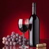 Wine Guide:Wine Tasting For Beginners wine connoisseurs guide 