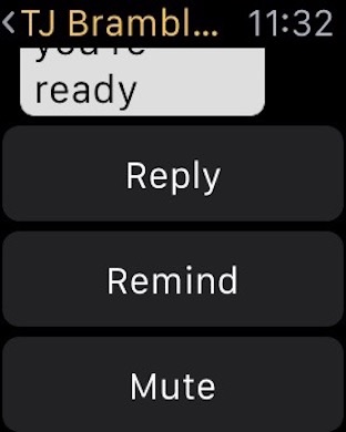iPhone Screenshot 2