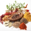 Culinary Herbs and Spices Guide herbs spices list 