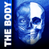 Jose Barrientos - The Human Body 2 (v3.1.3) アートワーク