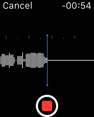 iPhone Screenshot 2