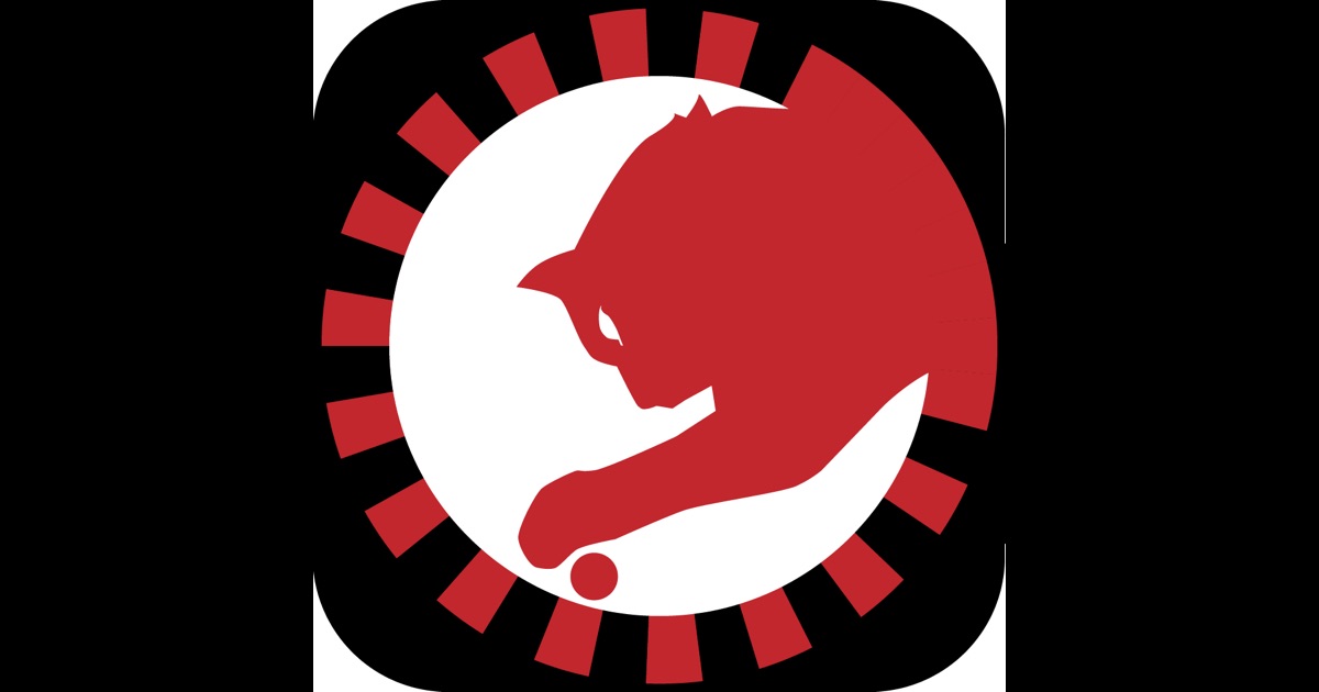 Roulette visual ballistics