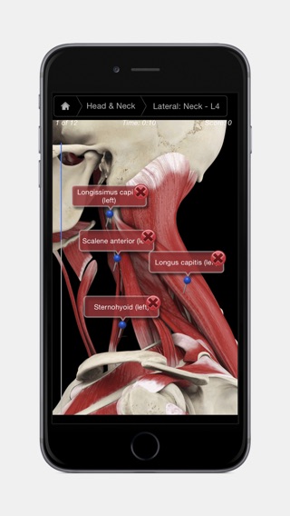 iPhone Screenshot 3