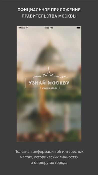 Снимок экрана iPhone 1
