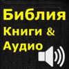 no app image