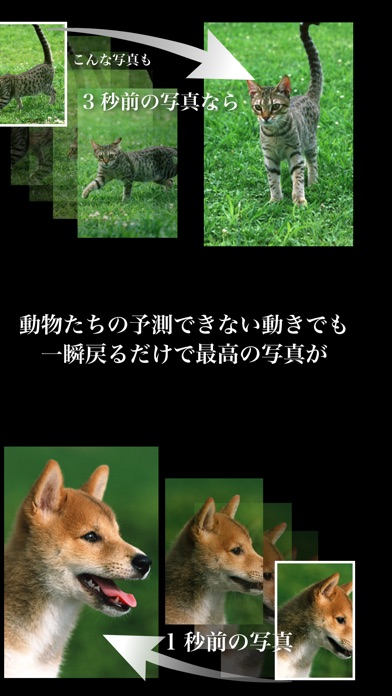 iPhone スクリーンショット 4