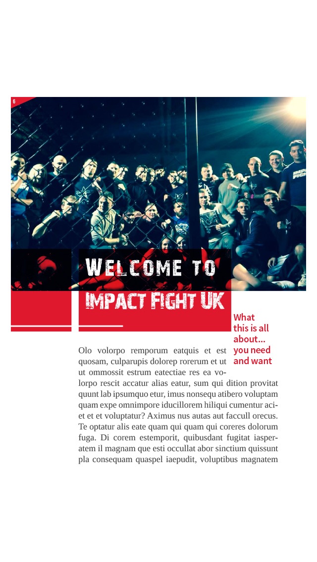 Impact Fight UK screenshot1