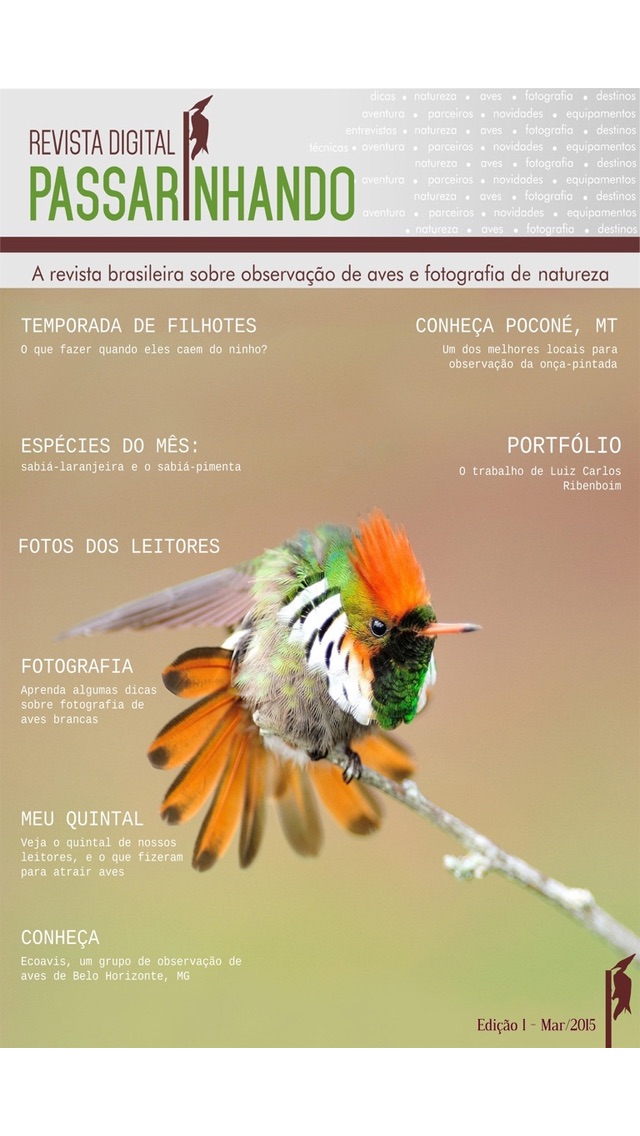 Revista Passarinhando screenshot1