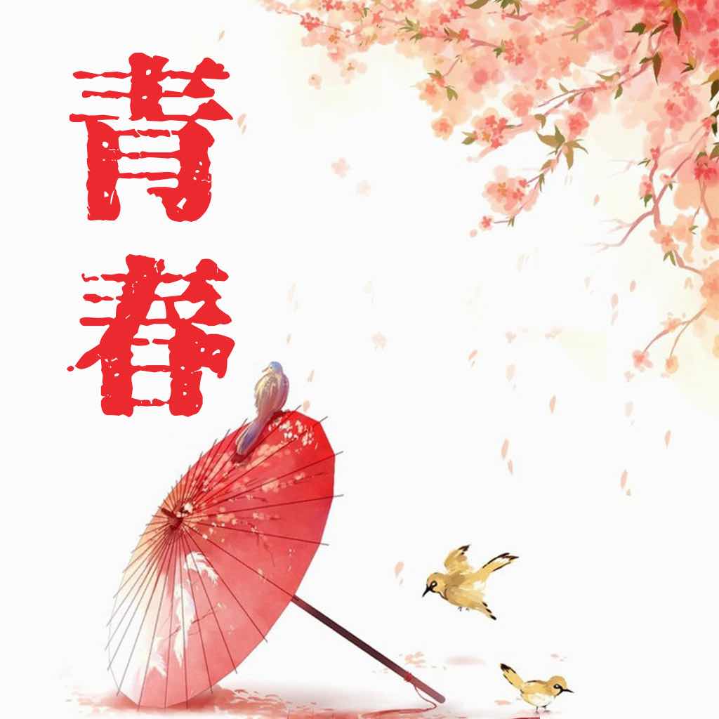 爱情初萌的钢琴谱