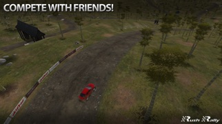 Rush Rally screenshot1