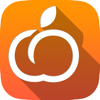 Apricot Company - Apricot Business アートワーク