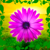 Affirmations - Daily Affirmations To Improve Your Life