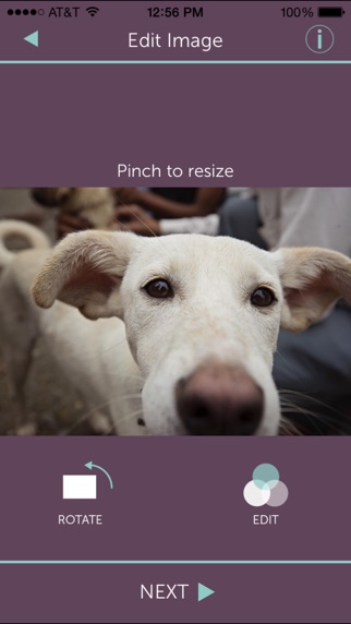 iPhone Screenshot 4