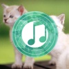 Cat Sounds Relax and Sleep: Calming music and gentle songs to relax and calm down for toddlers Health & Fitness