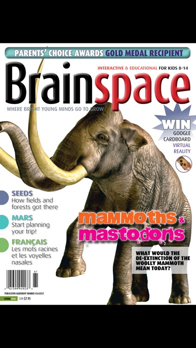 Brainspace Magazine screenshot1