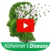 How to Avoid, Find & Cope with Alzheimer's Disease for Beginners to Experience - Understanding Alzheimer's Right dementia vs alzheimer s 