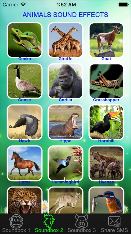 Wild Animals Soundboard Button Free - Listening Real Animal Sound Effects &  Nature Sounds Plus by Son Dang