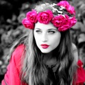 Color Effects Photo Maker with Artistic Converting to Lively & Vibrant Details on Pic.s icon