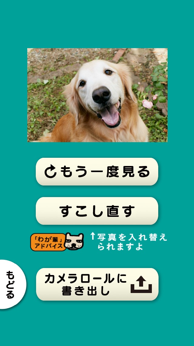 スライドショー作成アプリ「わが輩は、犬」思... screenshot1