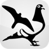 BirdTracker
