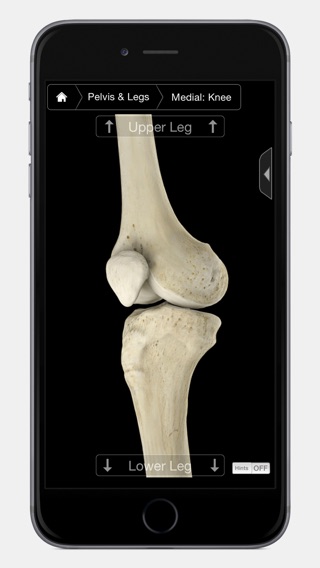 iPhone Screenshot 4