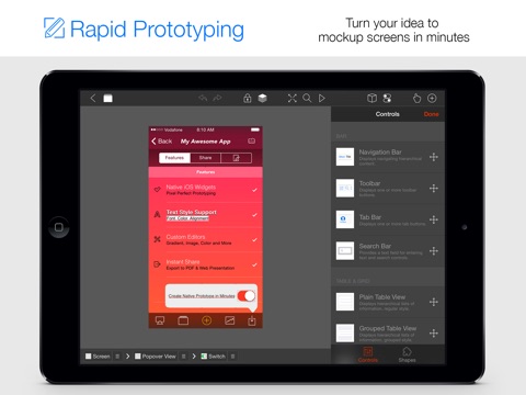 iPad Screenshot 1