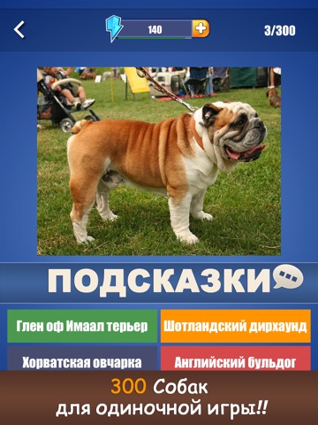 Собаки Угадай Фото ~ Виторина для детей и взрослых для iPad