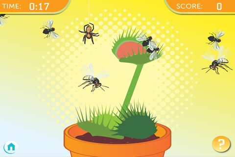 Backyard Bug Hunt screenshot