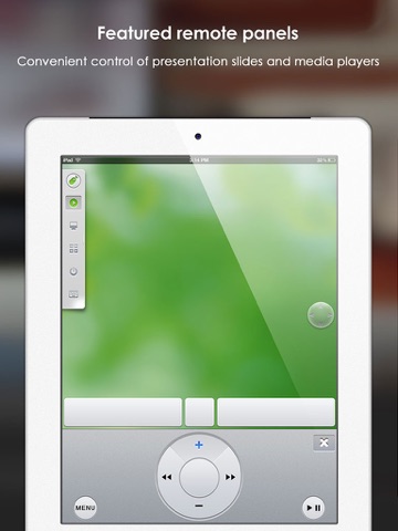 iPad Screenshot 4