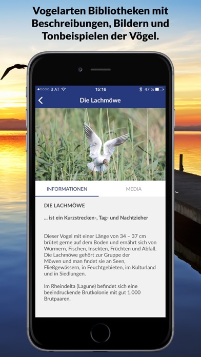 iPhone Screenshot 3