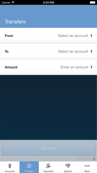 iPhone Screenshot 5