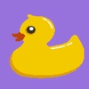 The Duck Swipe App - How many times can you swipe the duck? diving duck crossword 