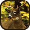 New Deer Hunting Defiance 2016 - The Real Shooting game for shooting lovers hunting shooting 