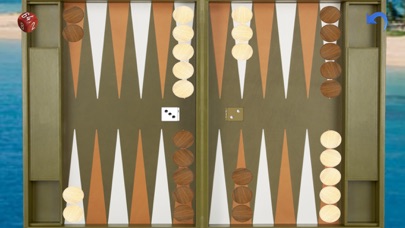 Advanced Backgammon screenshot1