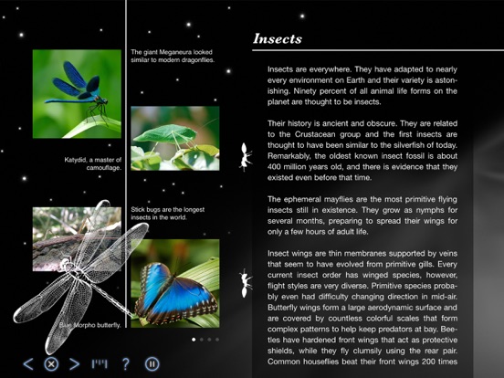 iPad Screenshot 2