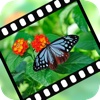 VideoStiller ~ Pull out special "moments" from your video!