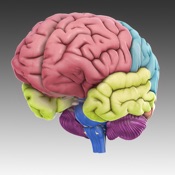 app image