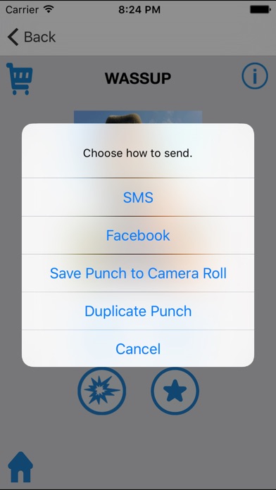 iPhone Screenshot 4